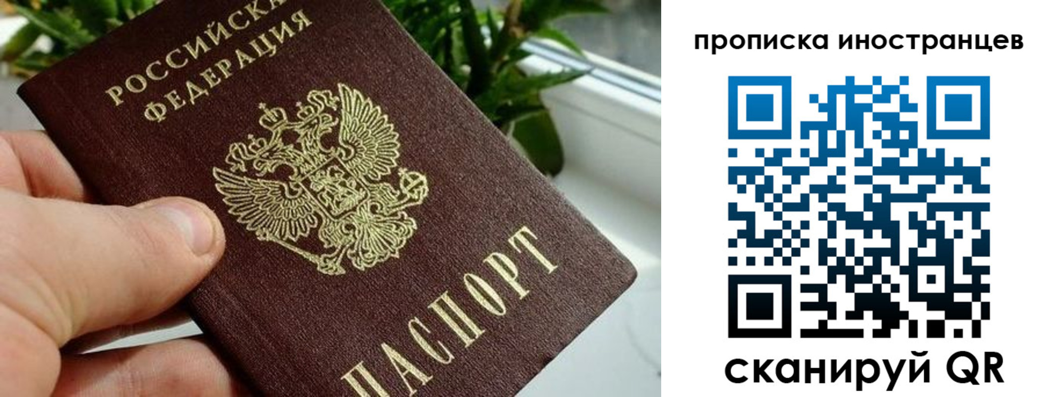 временная регистрация в Кирсе